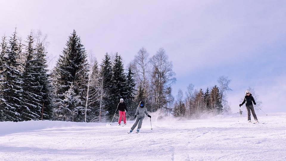 Domaine Morzine les Gets