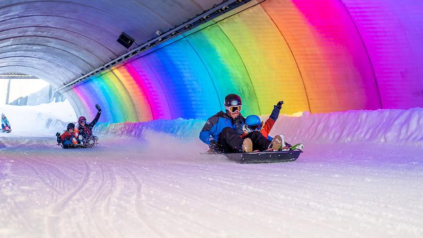 Luge Mille8