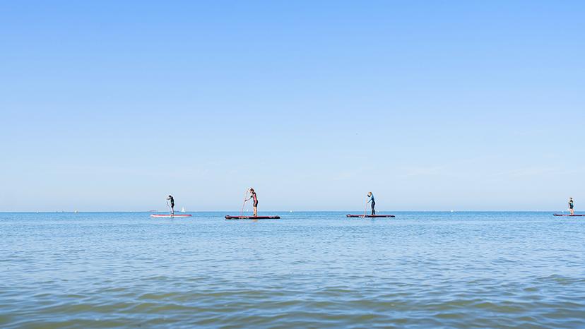 Paddle