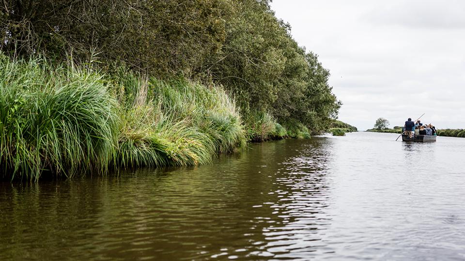 Parc Naturel Régional de la Brière