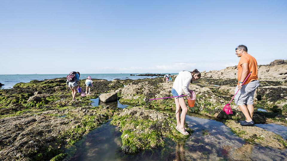 pêche à pied en famille en bretagne