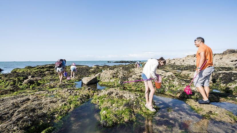 pêche à pied en famille en bretagne