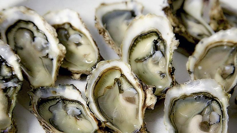 Dégustez les fruits de mer