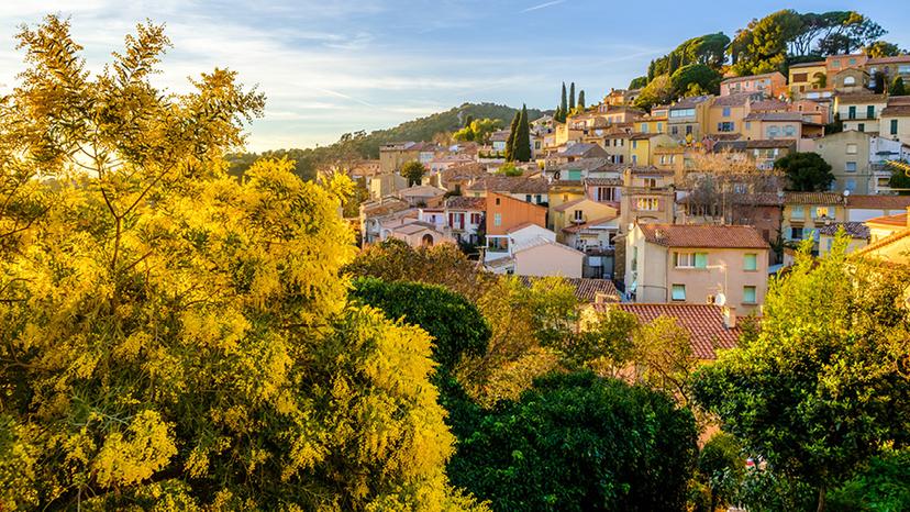 Bormes les Mimosas
