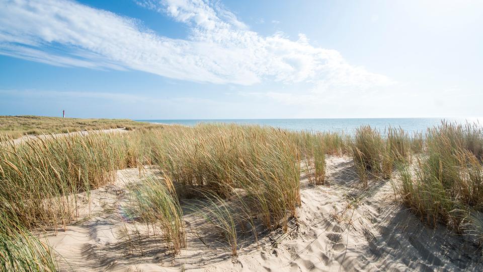 Bienvenue en Charente Maritime