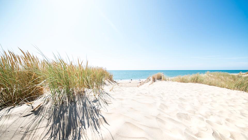 plage et océan proche d'oléron