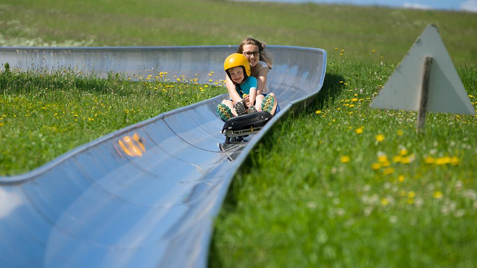 luge d'été