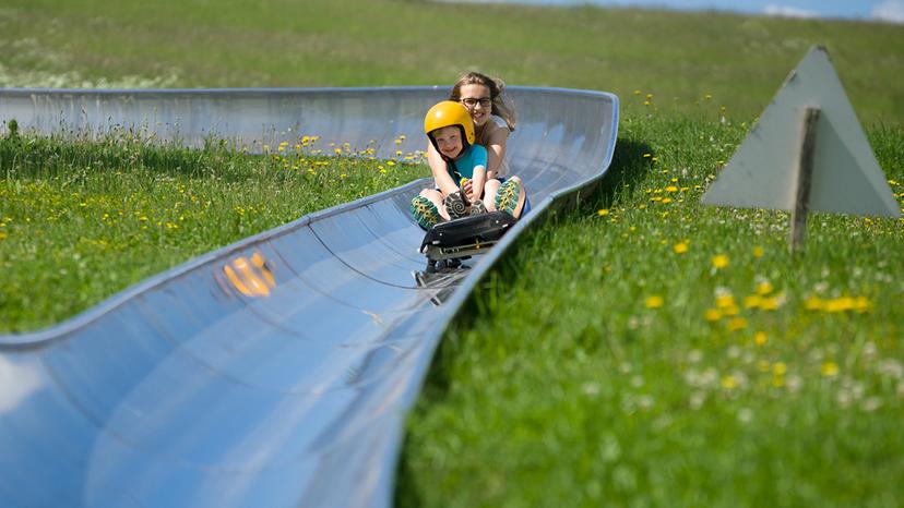 luge d'été