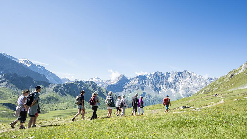 balades et randonnées accompagnées