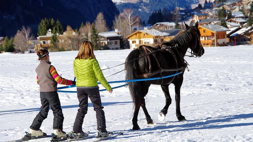 Ski joering
