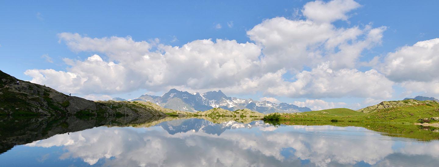 paysage d'été à la montagne