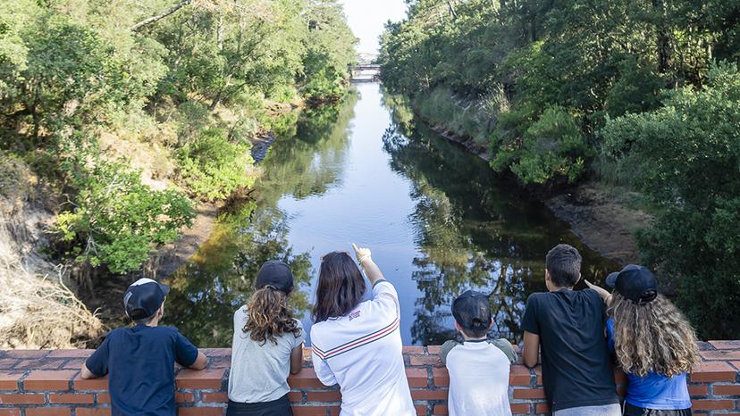 Balade et rando accompagnée dans les landes - Villages Clubs du Soleil