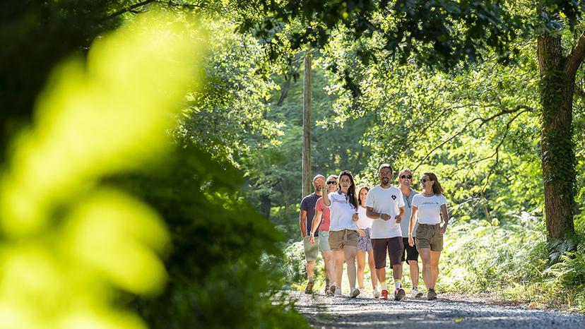 Balade accompagnée en forêt - Villages Clubs du Soleil