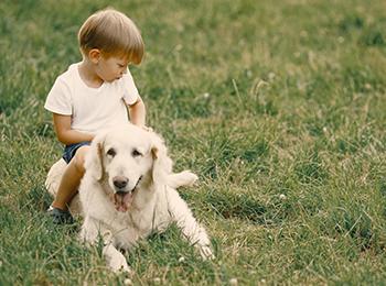 Vacances avec son chien chez Villages Clubs du Soleil
