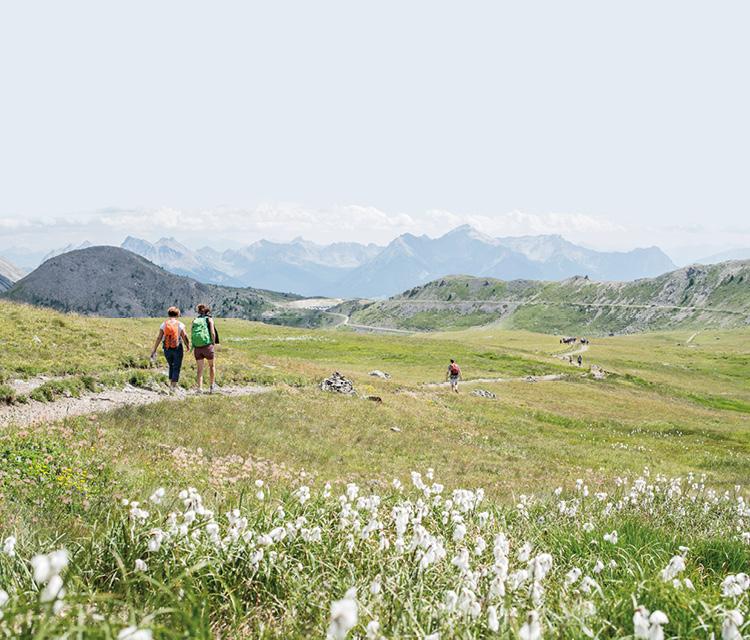 Séjour nature dans les Alpes