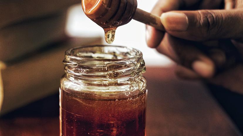 Fabriquer du miel dans le Queyras
