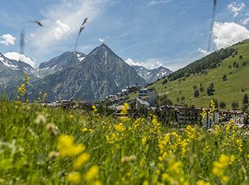 Vos vacances d'été aux 2 Alpes